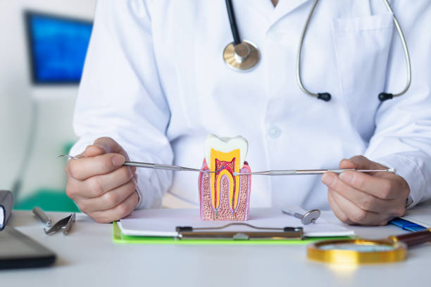 Best Urgent Care for Lost Fillings or Crowns in Lehi, UT